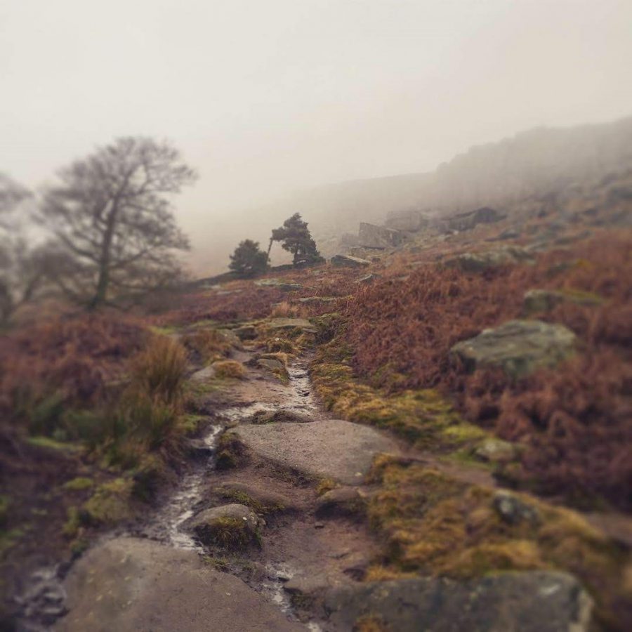Therapy in the Peak District